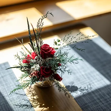 Haus Tannberg Apartment