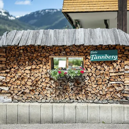 Appartement Haus Tannberg Riezlern